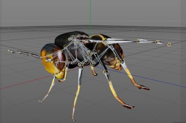 Vespa Velutina Rigged 3D model_3