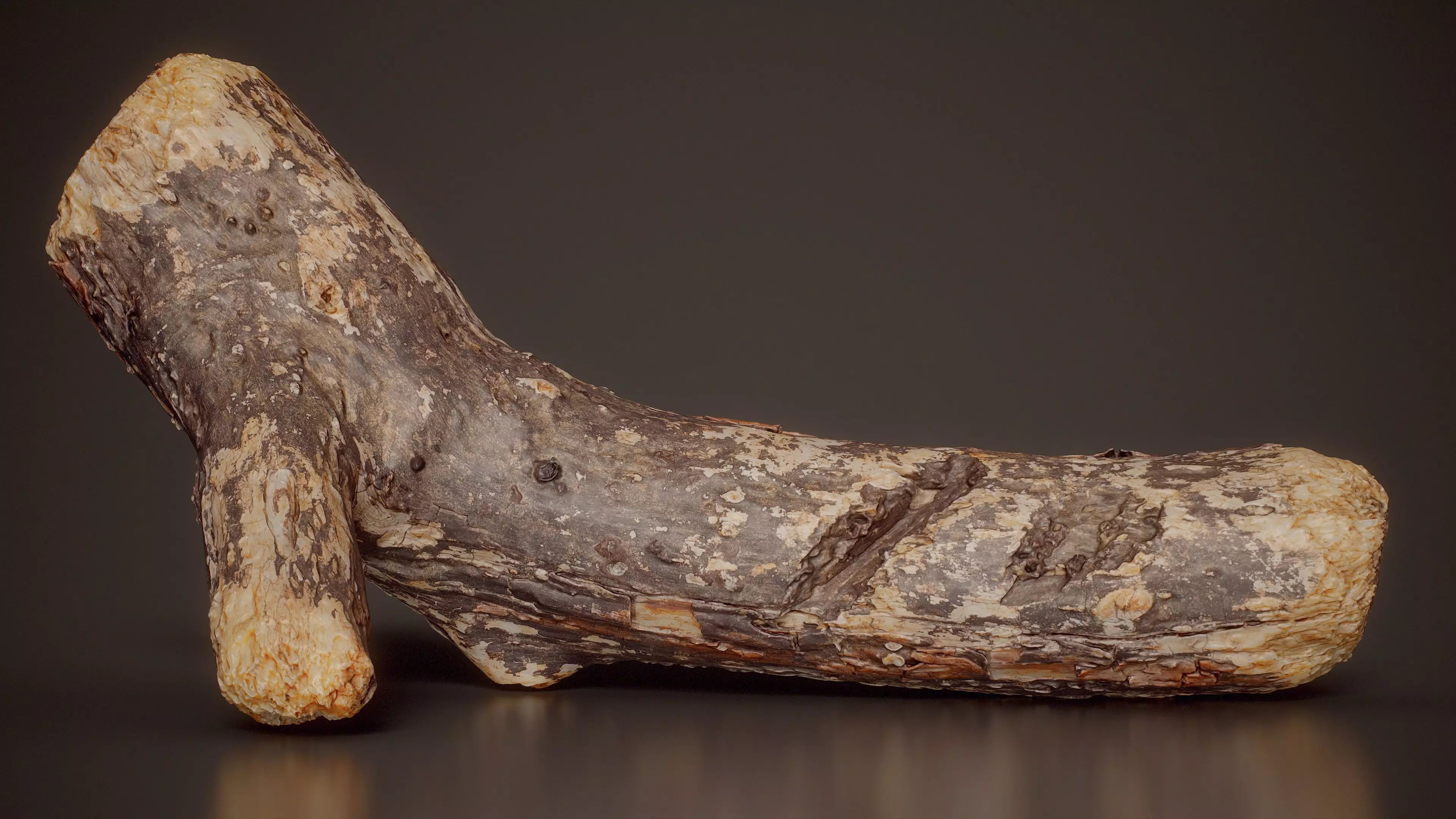Branched Weathered Wood With Bark Weathered Wood Large 14 Low-poly 3D model