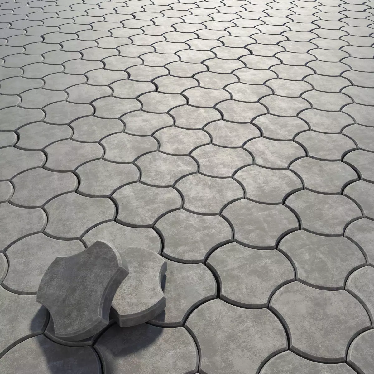 Paving stone threetoed 3D model_0