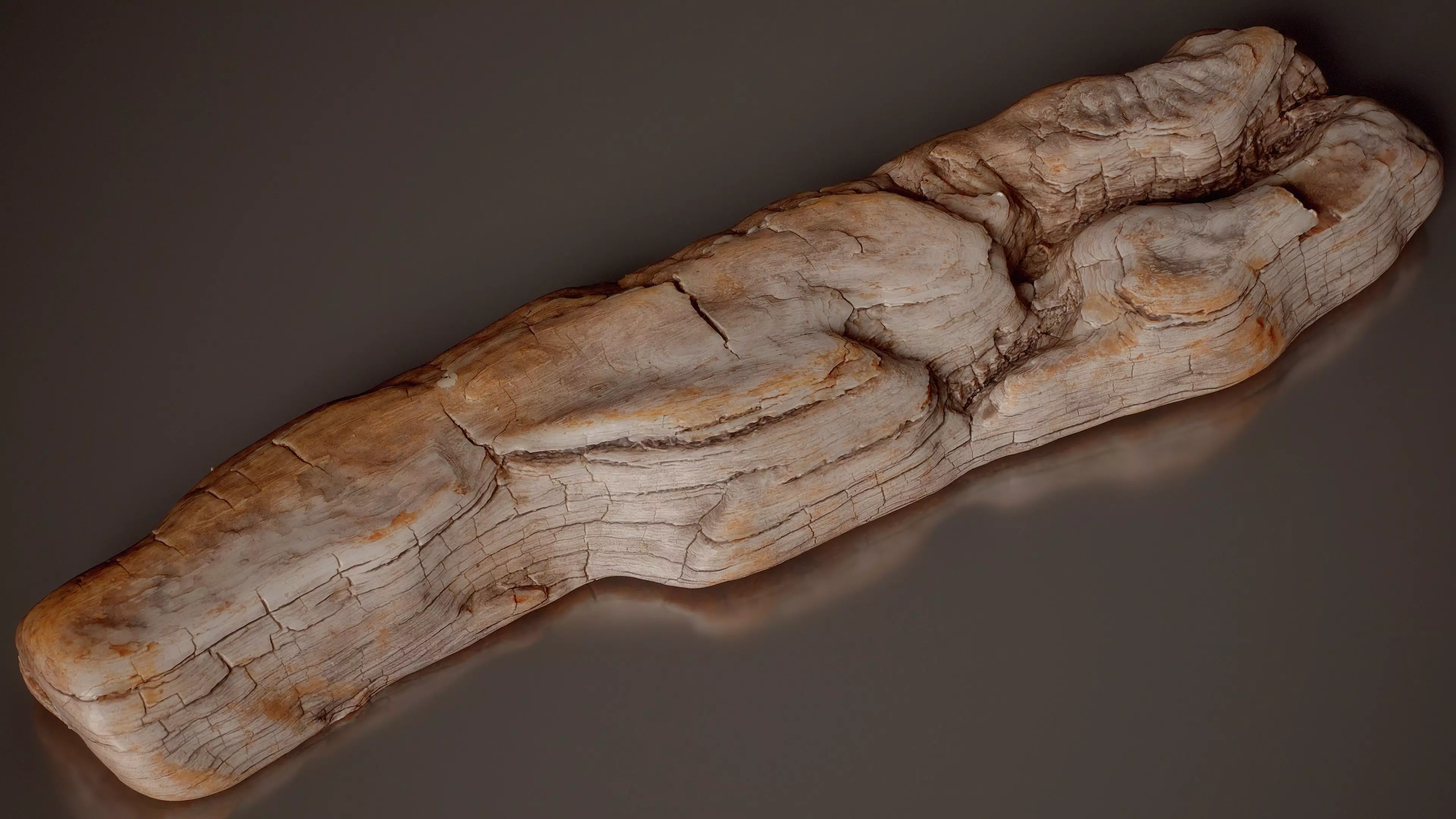 Split Burl Wood Section Burled Wood Medium 7 Low-poly 3D model