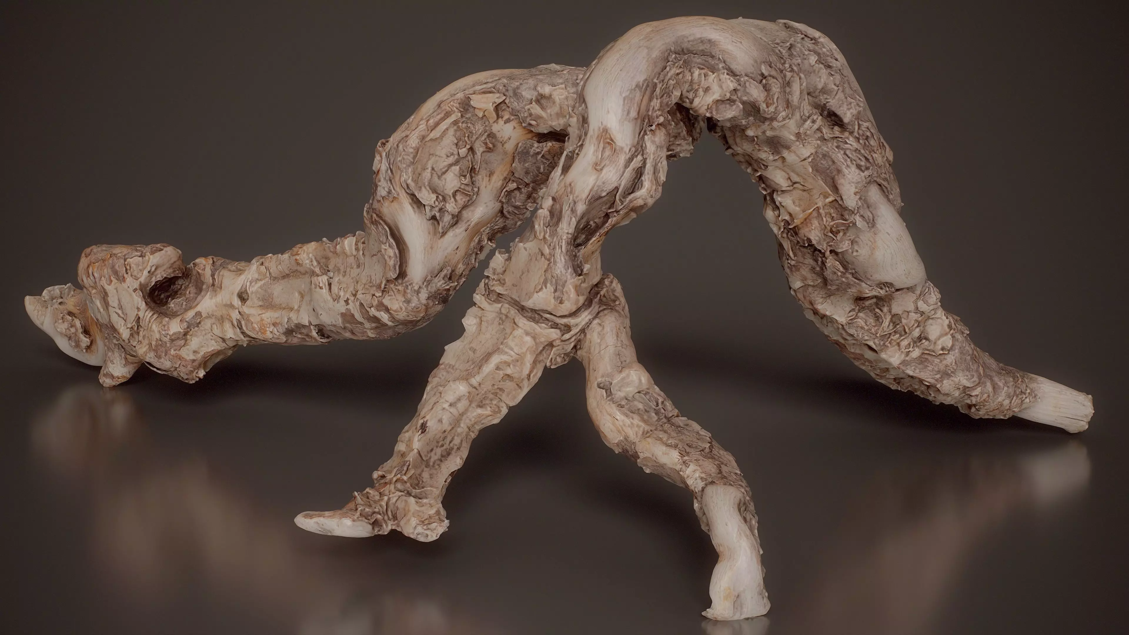 Complex Multi Branched Driftwood Weathered Root Branch 3 Low-poly 3D model