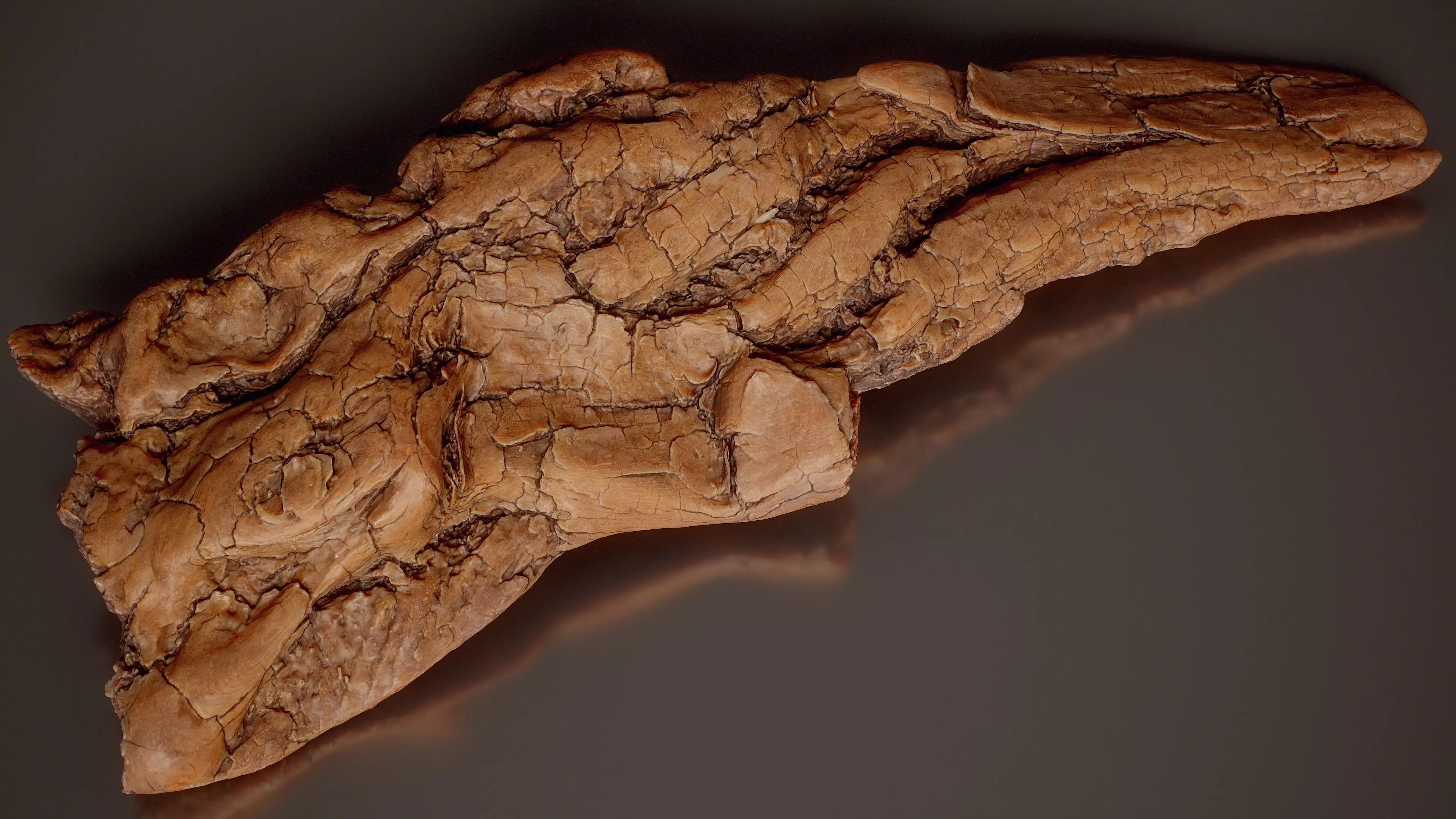 Checked Brown Driftwood Post Weathered Wood Medium 6 Low-poly 3D model