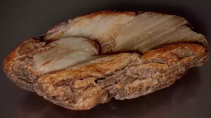 Weathered Pine Split Pinus Tiny Wood 02