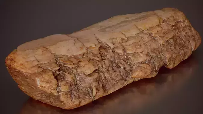 Pine Bark Thick Pinus Tiny Wood 01