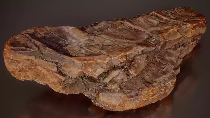 Pine Bark Dark Layered Pinus Tiny Wood 07