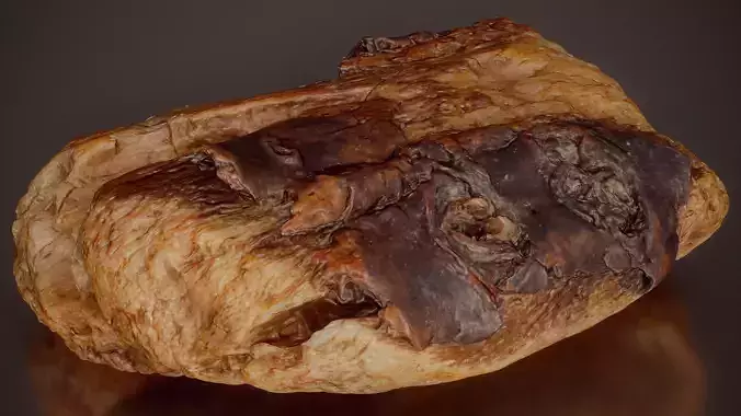 Hollow Tree Stump Mixed Hardwood Tiny Wood 04