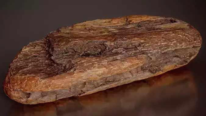 Decayed Hardwood Hollow Hardwood Tiny Wood 03