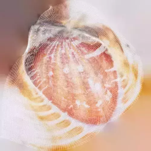Lion Paw Scallop Nodipecten Nodosus Shell 8 Low-poly 3D model 7