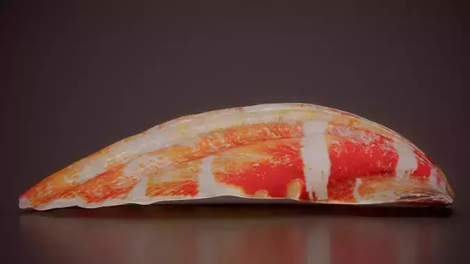 Lion Paw Scallop Nodipecten Nodosus Shell 8 Low-poly 3D model 3