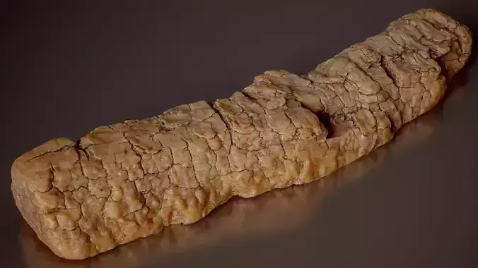 Weathered Oak Branch Section Quercus Wood Small 13