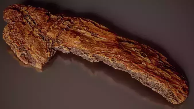 Pine Bark With Vertical Striations Pinus Wood Small 14