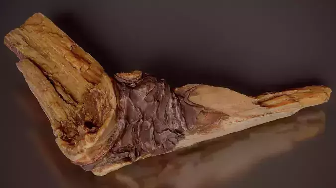 Pine Bark With Resin Pinus Wood Small 4