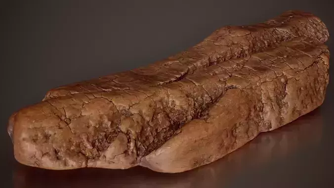 Papery Bark Spiral Section Melaleuca Wood Small 8