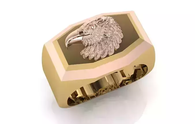 Luxury 4 piece men eagle ring