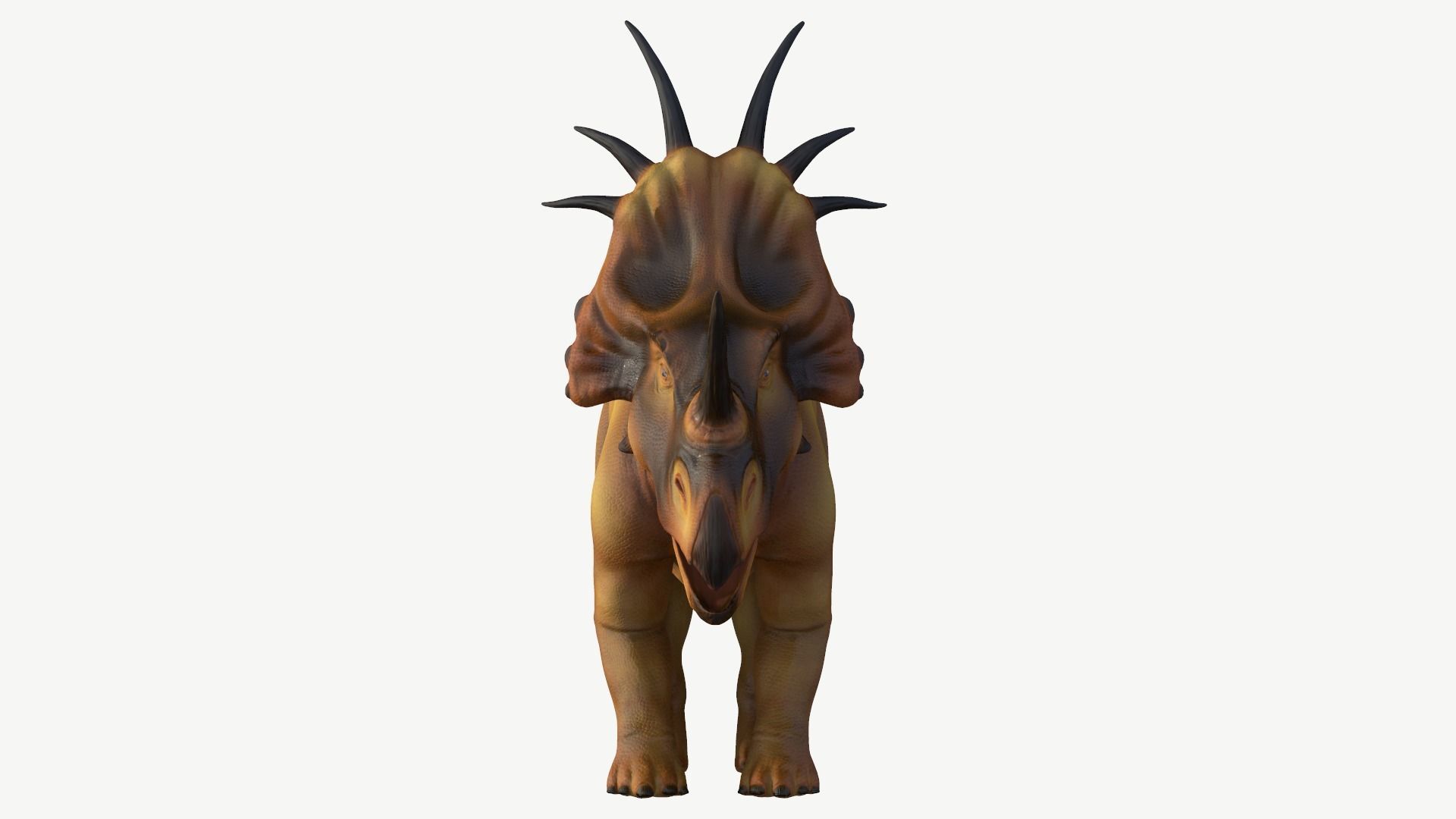 Styracosaurus dinosaur Low-poly 3D model_9