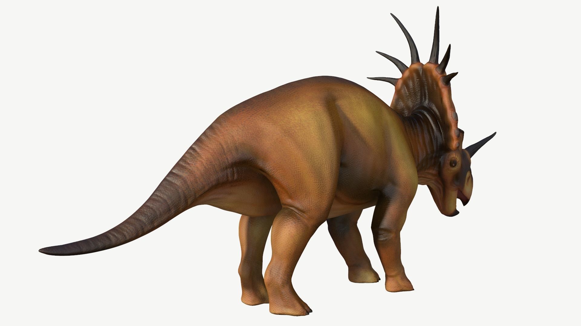 Styracosaurus dinosaur Low-poly 3D model_5