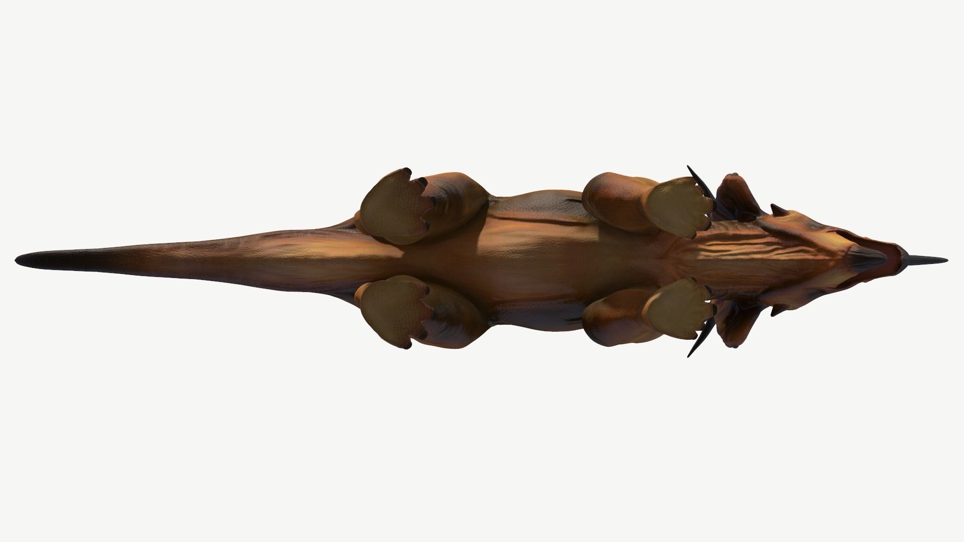 Styracosaurus dinosaur Low-poly 3D model_11