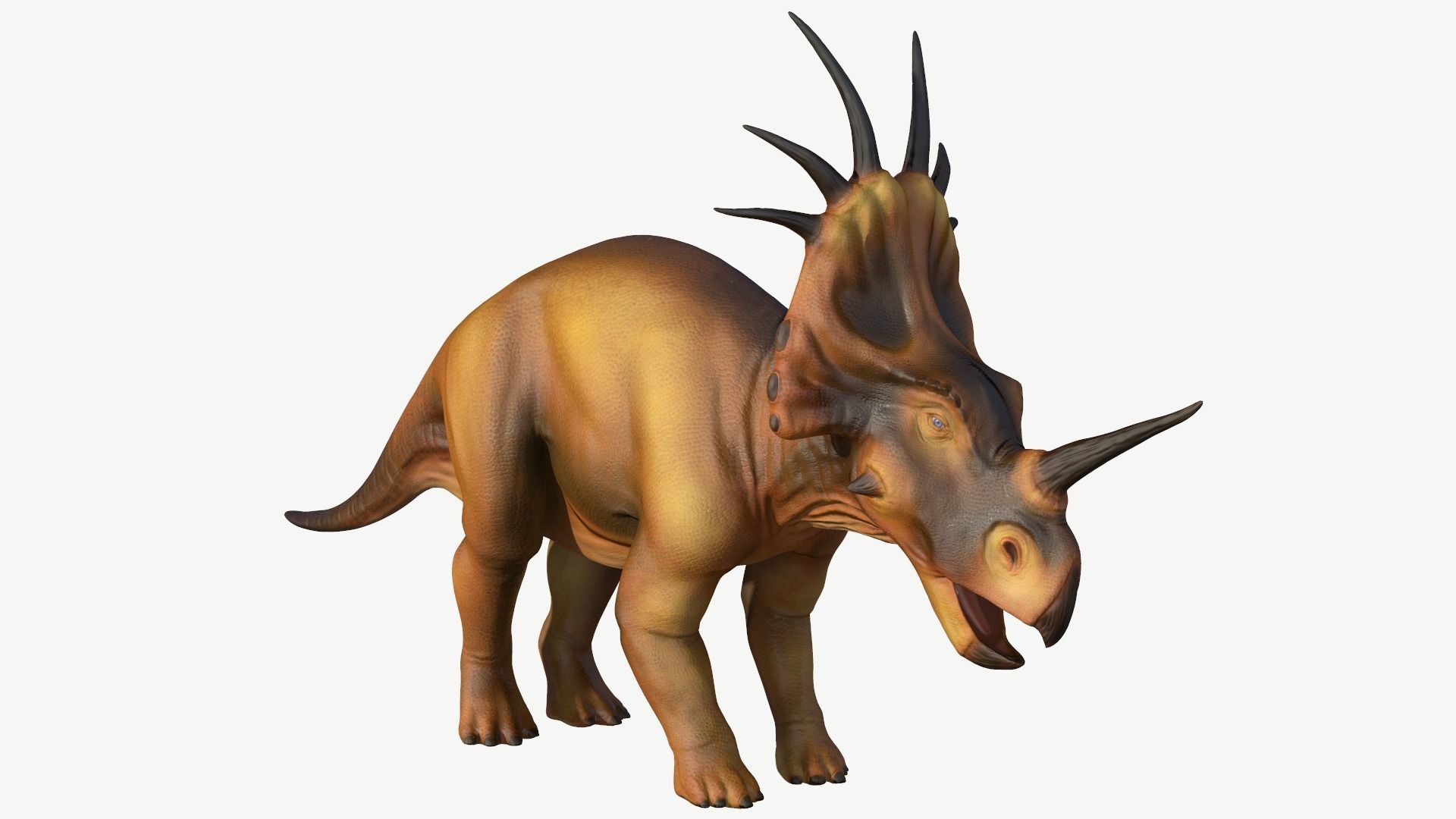Styracosaurus dinosaur Low-poly 3D model_1