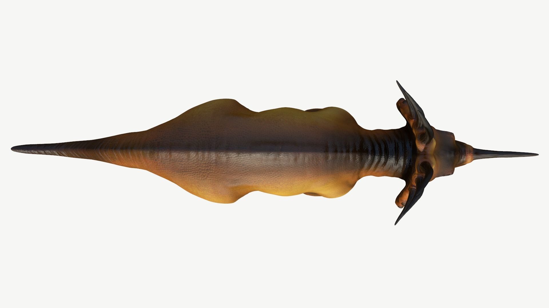 Styracosaurus dinosaur Low-poly 3D model_7