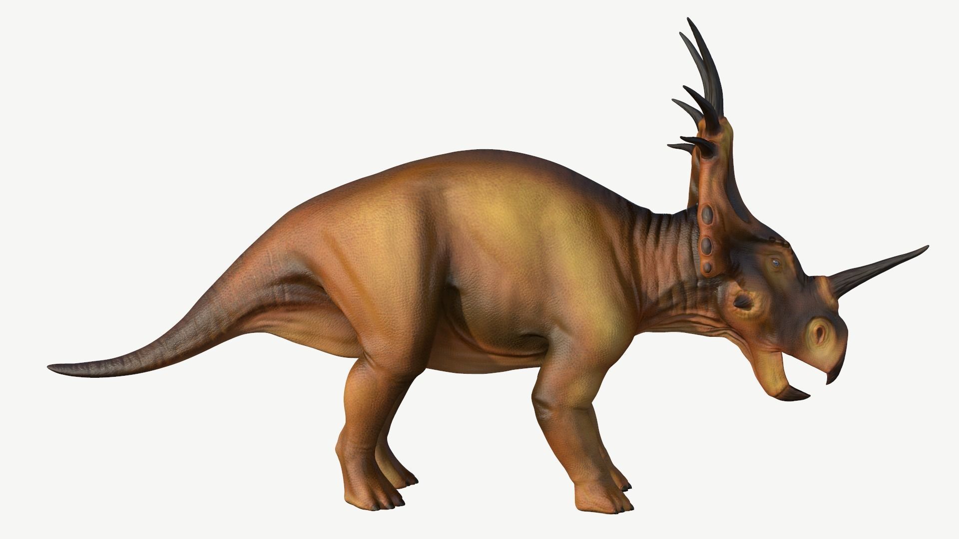 Styracosaurus dinosaur Low-poly 3D model_3