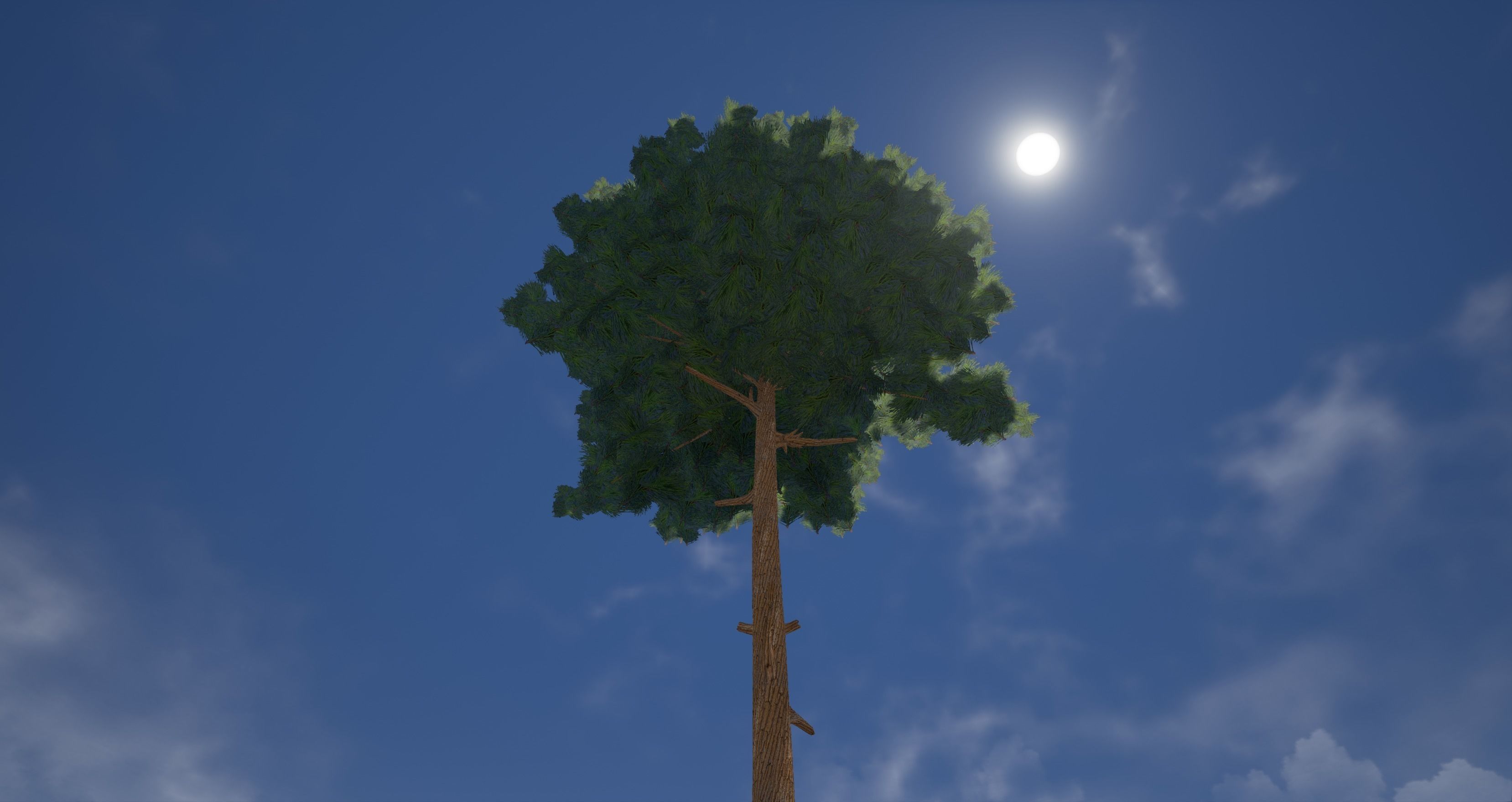 Pine Tree 1 Low-poly 3D model_2