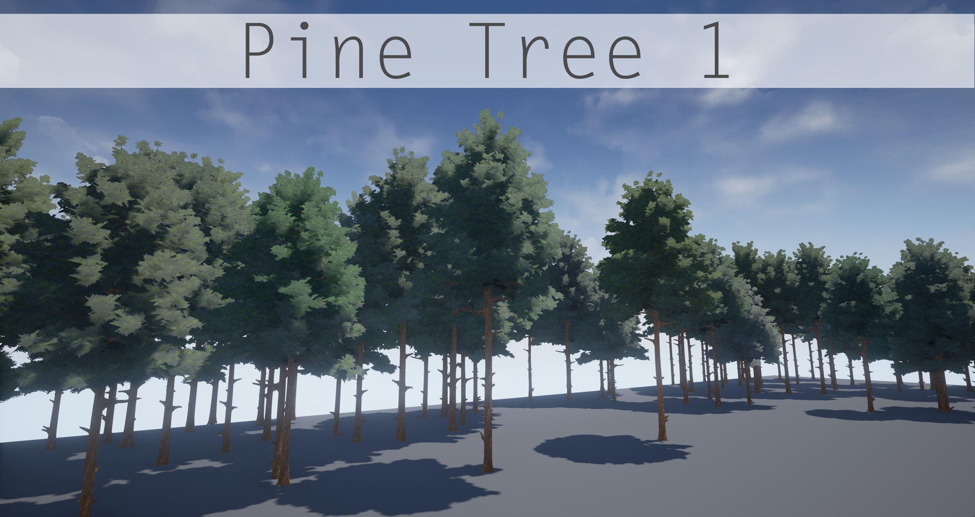 Pine Tree 1 Low-poly 3D model_0