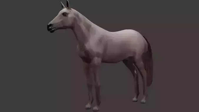  horse realistic 