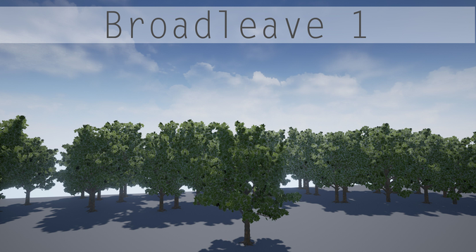 Broad leave 1 Low-poly 3D model