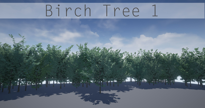 Birch Tree 1 Low-poly 3D model
