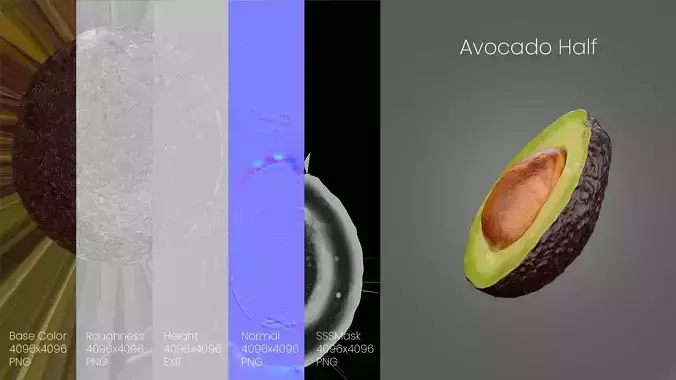 Avocado Half Cut 3D model 6