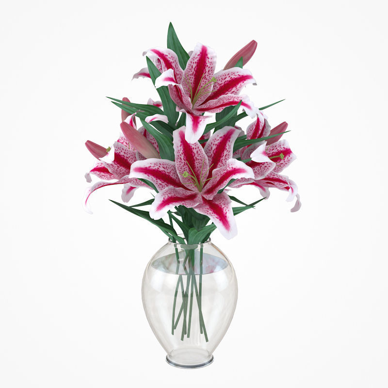 Flower Collection 4 calla lilies in vase 3D model_4