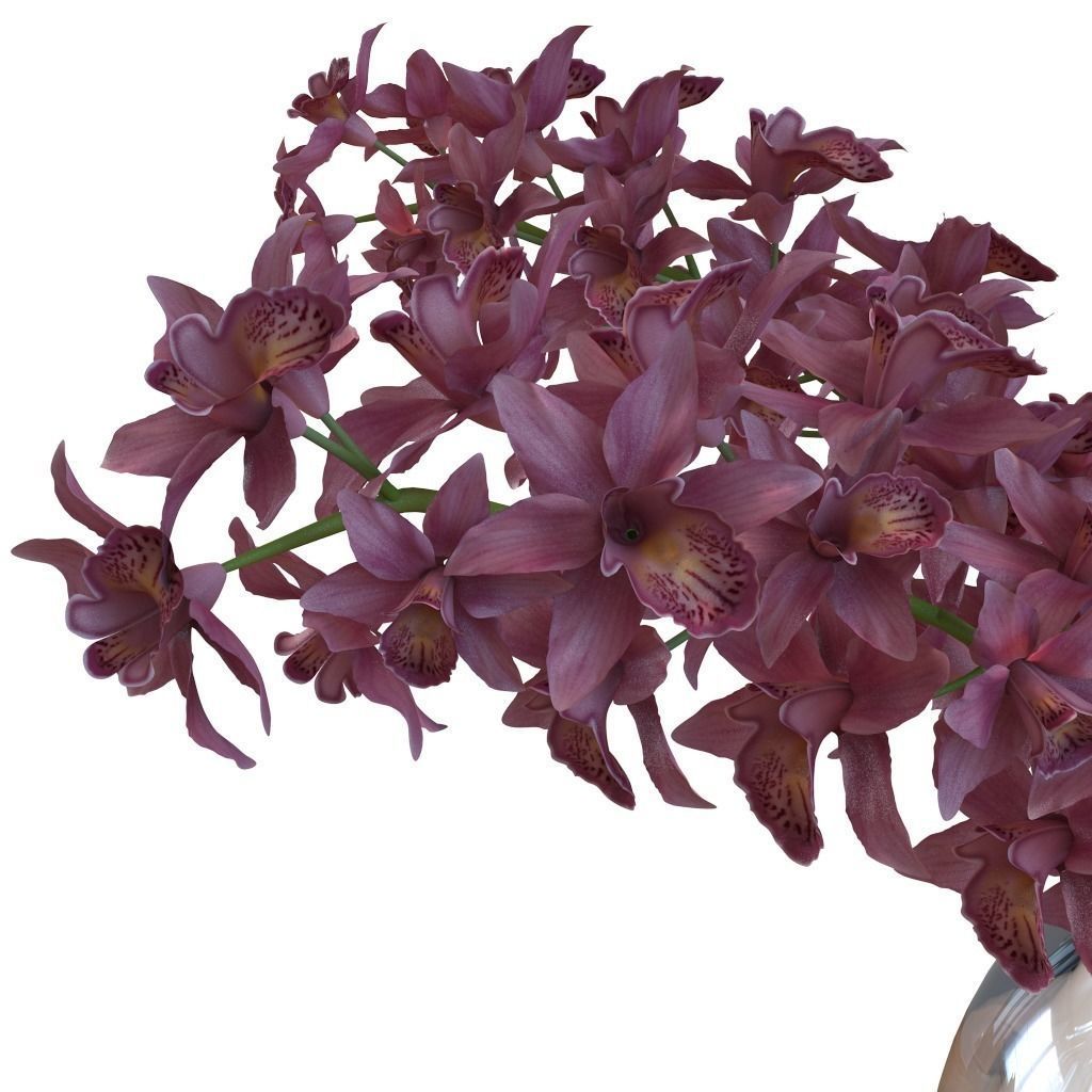 Flower Collection 4 calla lilies in vase 3D model_14