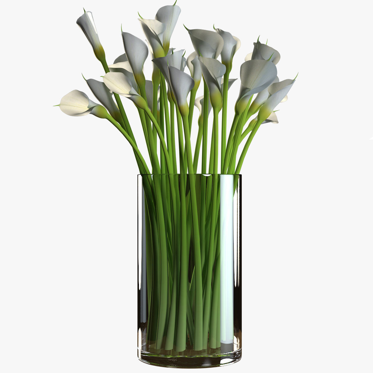 Flower Collection 4 calla lilies in vase 3D model_2