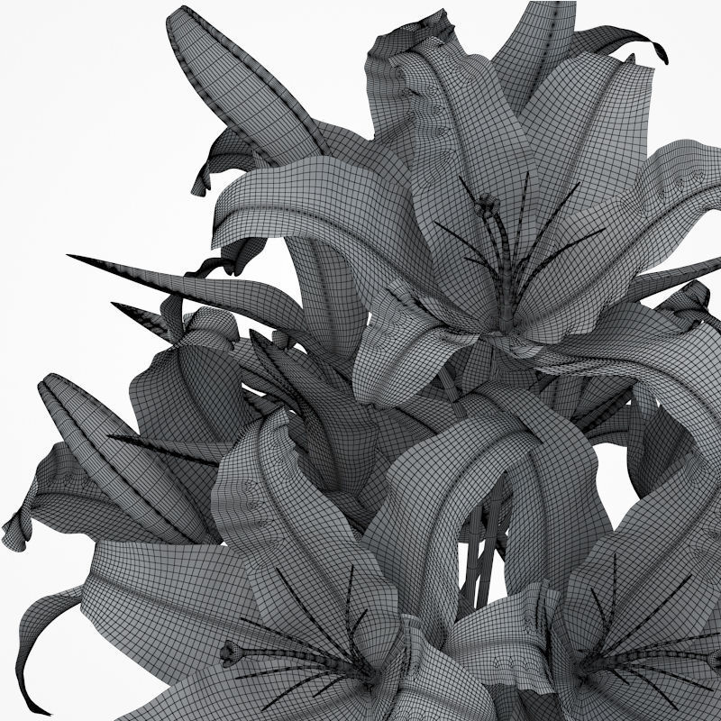 Flower Collection 4 calla lilies in vase 3D model_13