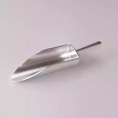 Scoop silver shovel