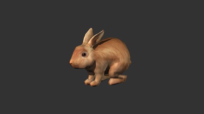 Rabbit Animation-Lowpoly-Game ready Low-poly 3D model