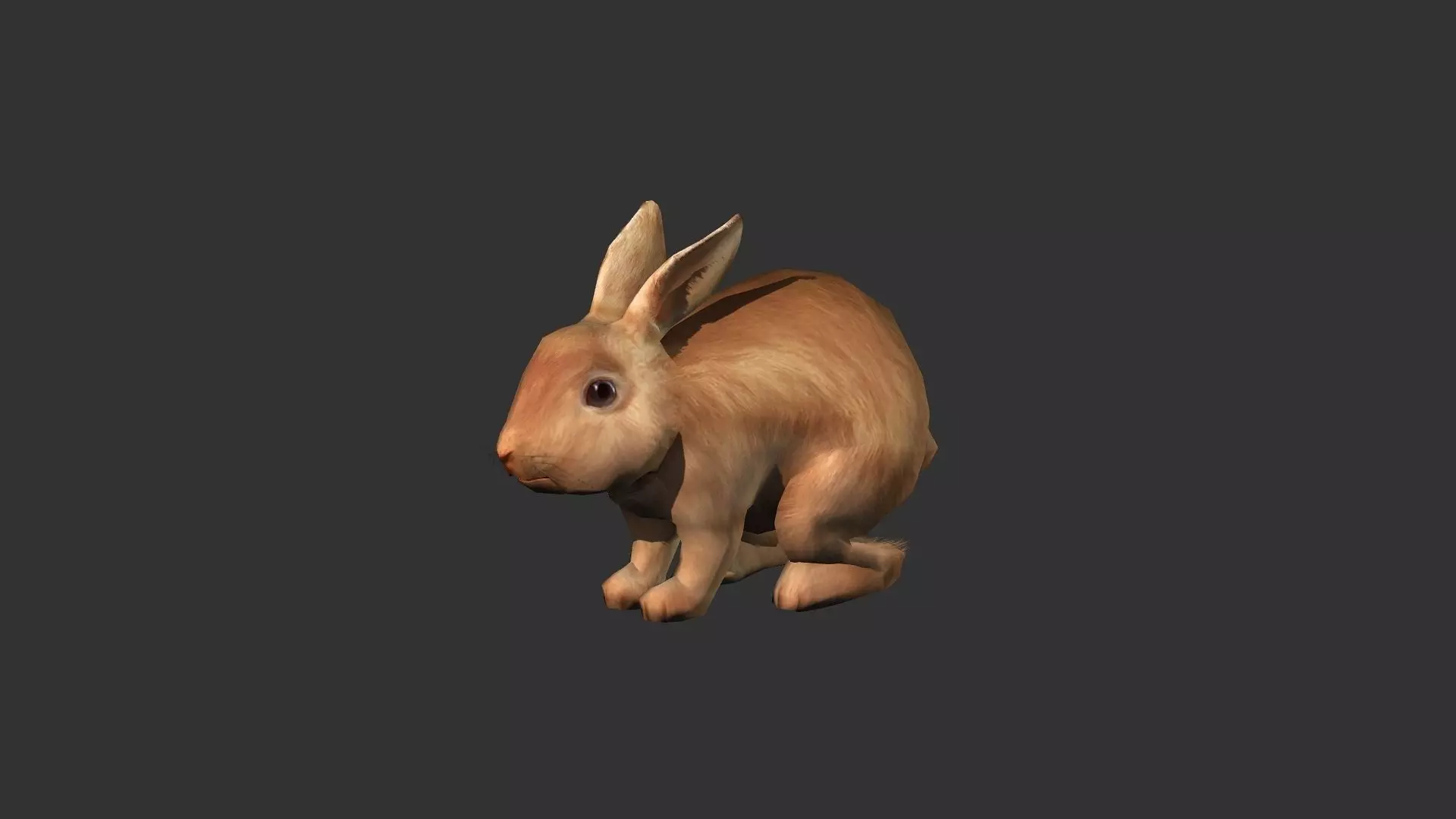 Rabbit Animation-Lowpoly-Game ready Low-poly 3D model_0