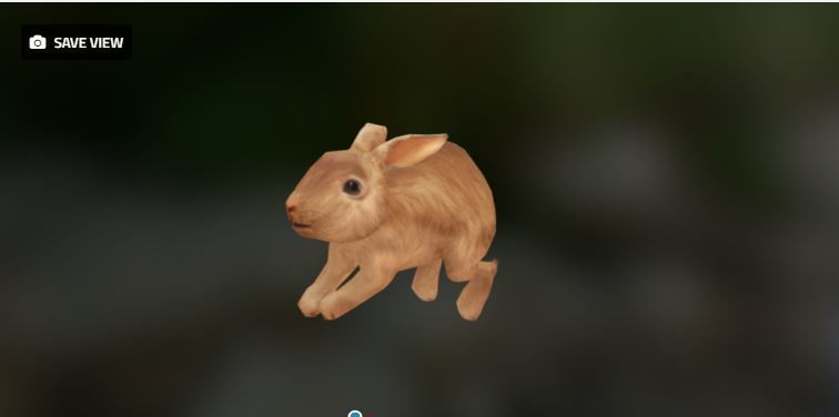 Rabbit Animation-Lowpoly-Game ready Low-poly 3D model_2