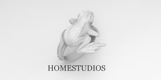 Ring Frog 3D print model