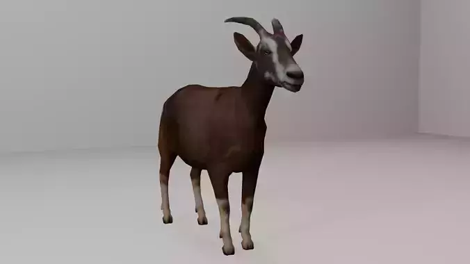  Goat Realistic 3D Model