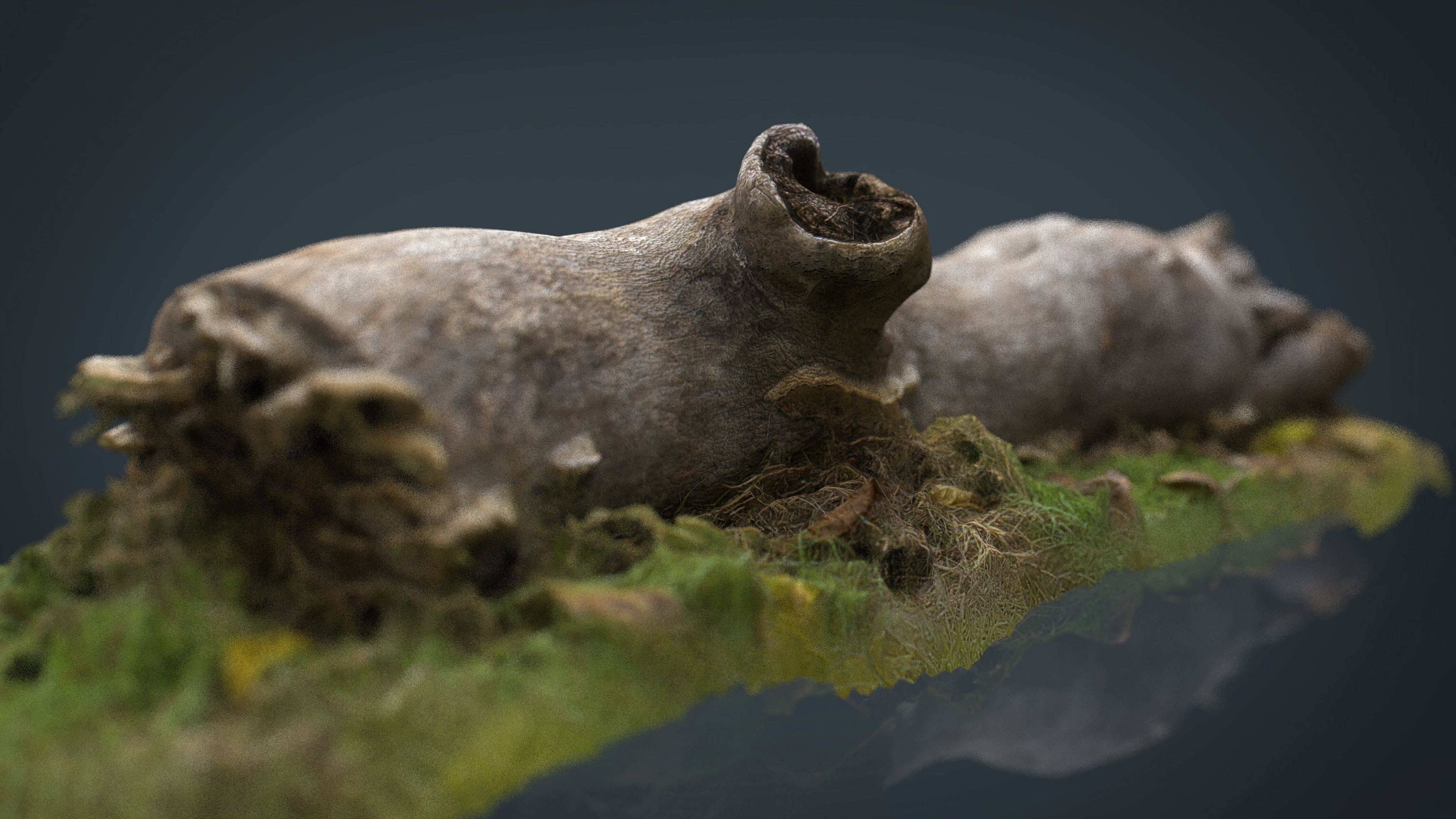 Dead trunk Low-poly 3D model_2