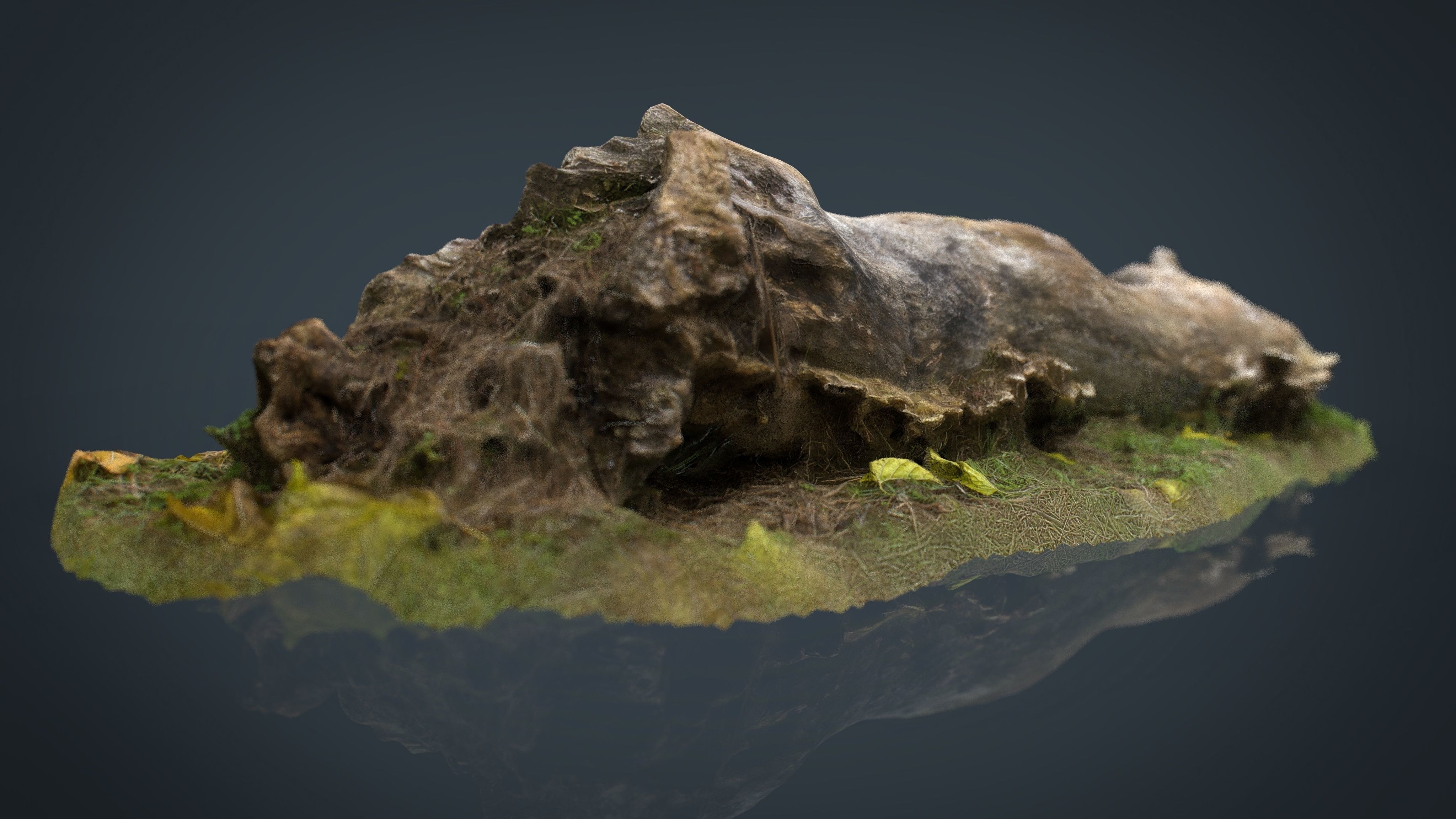 Dead trunk Low-poly 3D model_3