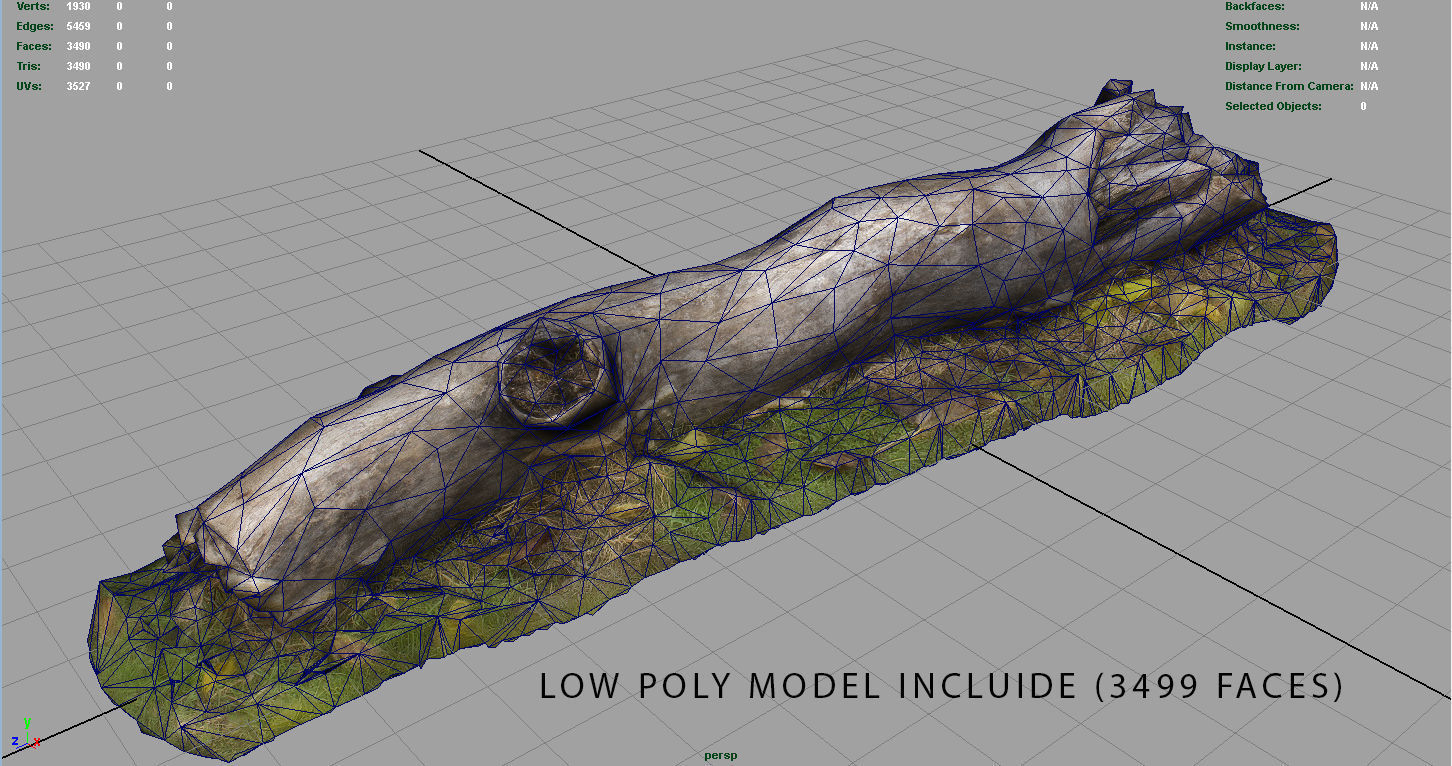 Dead trunk Low-poly 3D model_15