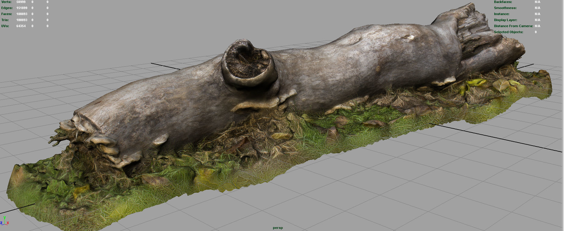 Dead trunk Low-poly 3D model_13