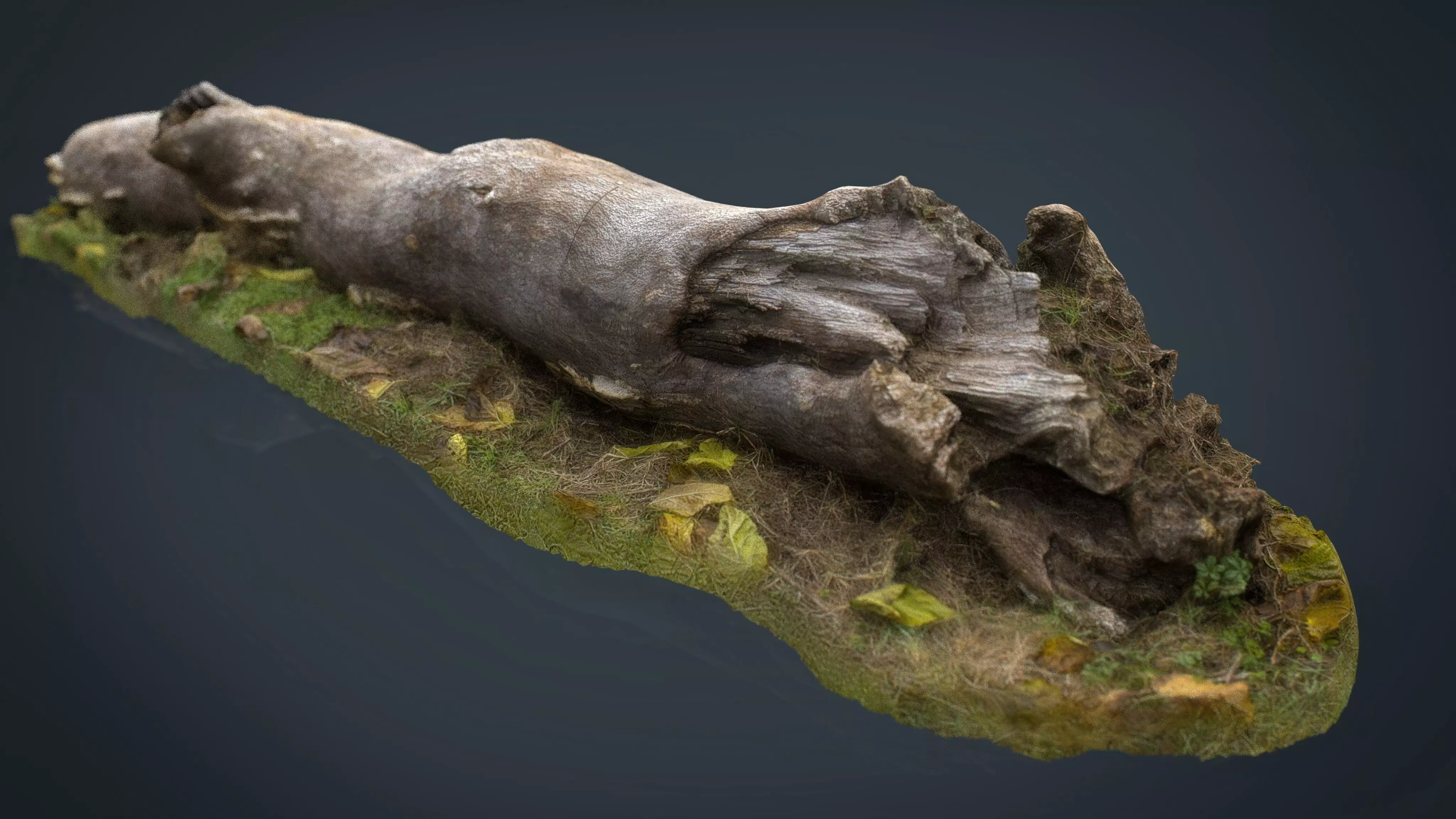 Dead trunk Low-poly 3D model_0