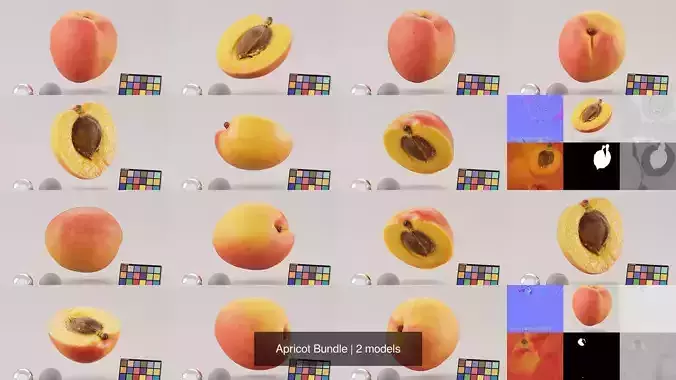 Apricot Bundle 3D Model Pack 2