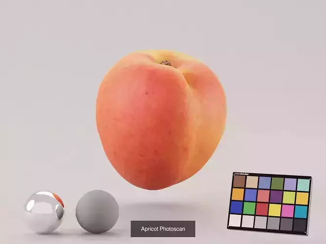 Apricot Bundle 3D Model Pack 3