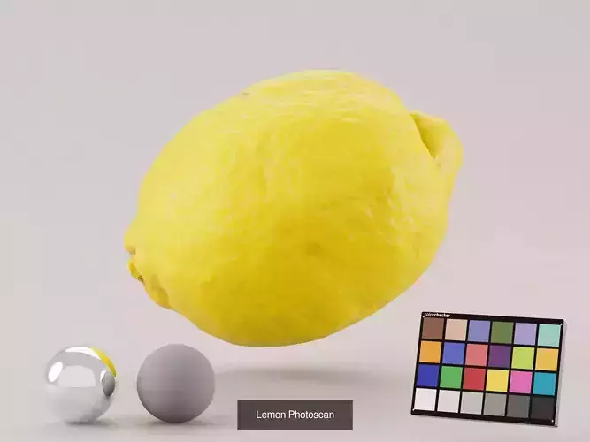 Lemon Bundle 3D Model Pack 2