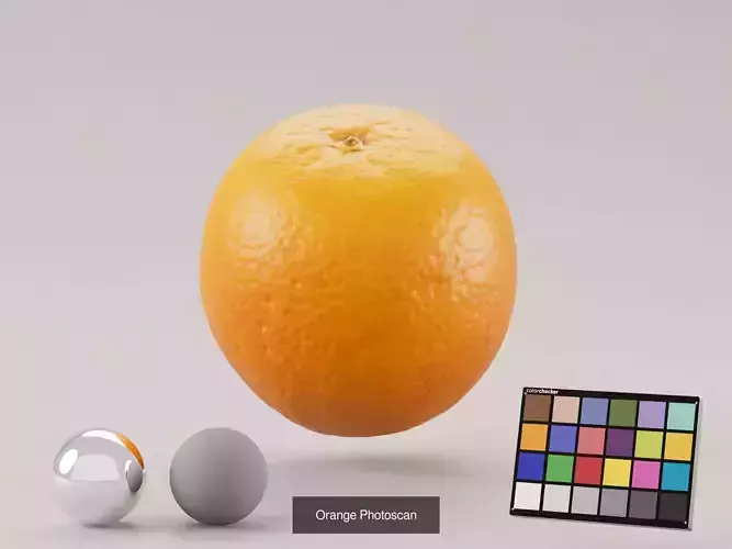 Orange Bundle 3D Model Pack 2