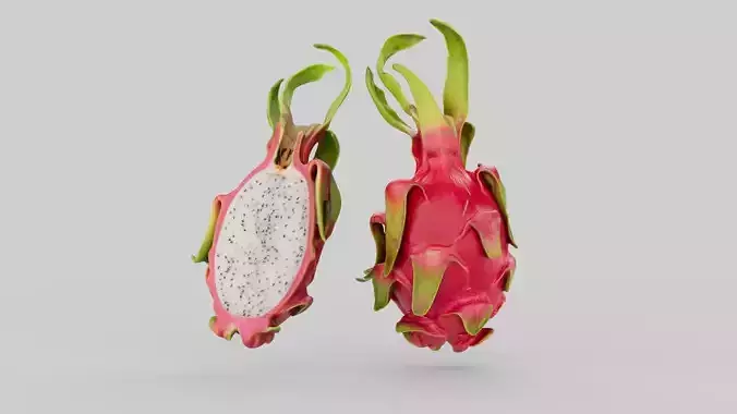 Dragonfruit Bundle 3D Model Pack